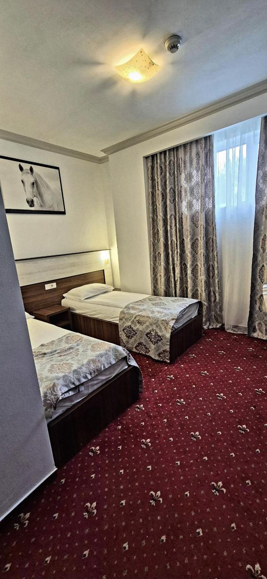 Hostel Orhideea Buzau Bagian luar foto